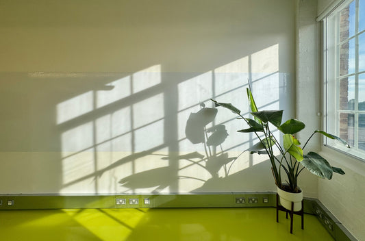 From Blank Wall to Creative Hub: How Architects Use FlexiSheet to Build Dynamic Design Walls